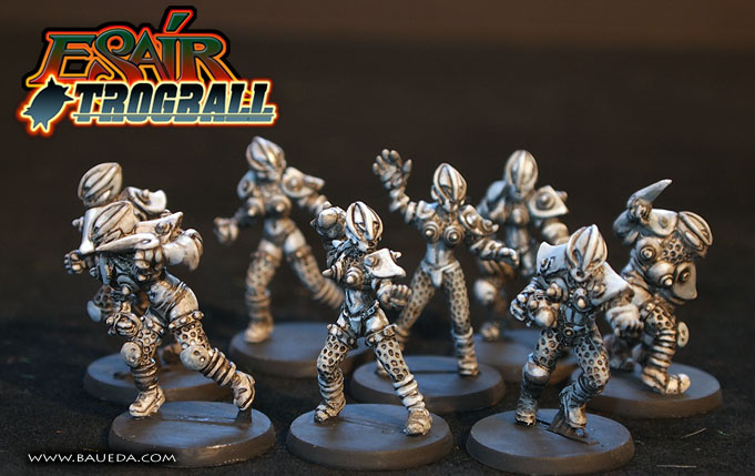 Female Dark Elves 28mm fantasy football team